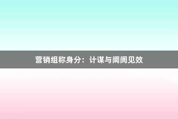 营销组称身分：计谋与阛阓见效